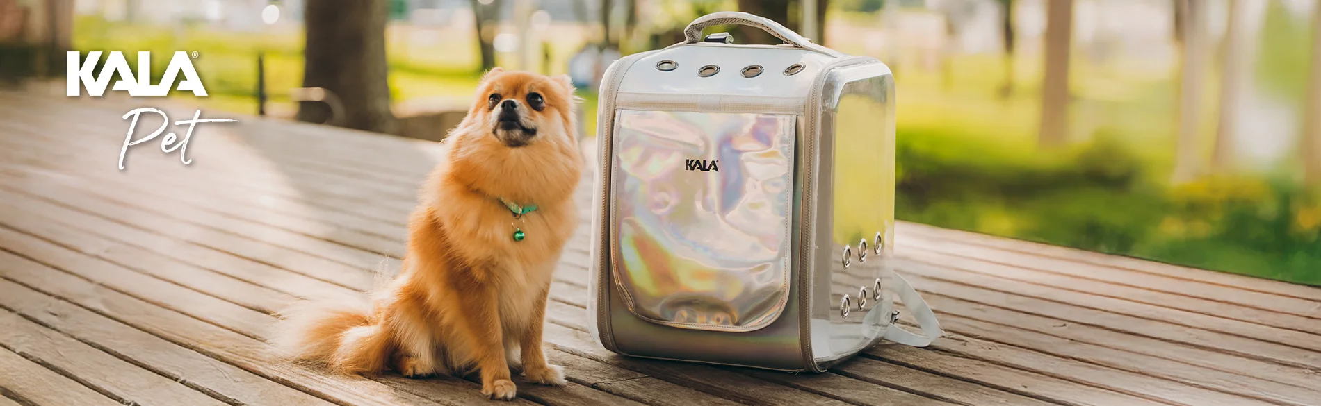 Pet